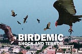 A cityscape with birds flying overhead. White text saying “Birdemic: shock and terror” is shown