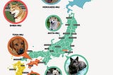 Dogs of Japan