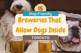 15 Dog-Friendly Breweries in Toronto that Allow Dogs Inside - Pinterest Pin