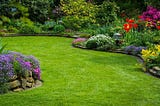 Rely on Black Diamond Lawn Service for Your Lawn Care Needs