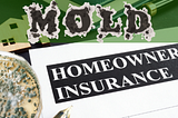 Mold damage in your home can lead to significant health risks, structural damage, and expensive…