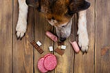 9 Clever Ways to Hide Medication in Your Pet’s Treats