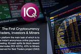 IQ. cash or how to become a leader in the crypto industry