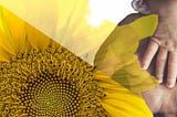 Summer Solstice 2026 Guided Meditation & Fathers Day Blessing