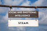 Relating Social and Emotional Intelligence with S.T.E.A.M.