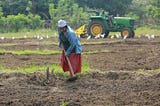 Just Transition in Livelihoods for Resilient Food Systems