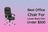 Best Office Chair For Lower Back Pain Under $300 In 2021