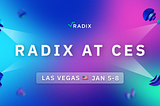 Radix Heads to CES 2023: Taking Real DeFi to Vegas | The Radix Blog | Radix DLT