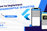 How to implement ExpansionTile  in Flutter?