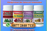 Obat herbal yang baik untuk menyembuhkan hernia — turun berok paling ampuh tanpa operasi