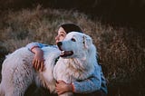 300+Great Pyrenees Names For Male And Female Dog-Pet Fitness Tips