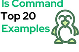 ls Command in Linux — Learn From Zero with 10-Examples