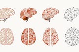Research Hit: The Average Brain Myth