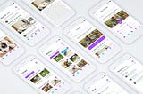 Case Study(UX/UI Design) — PenPaws