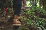 Three Hikes Near New York City
