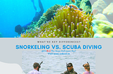 Snorkeling vs. Scuba diving differences