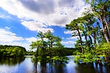 Dead Lakes Gulf County Florida - Global Dish - Stephanie Arsenault