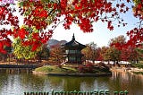 Beijing tour package