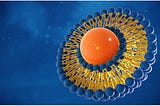 Liposomes | An overview