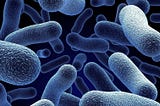 Microbial Surveillance: How It Works & Why It’s Important