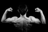 The Three Most Common Overlooked Back Exercises + A Short Primer on Back Training