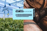 3 Changes We Want To See In The Cannabis Industry