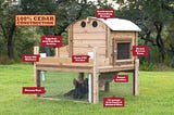 Why A Backyard Chicken Coop Is The Best Way To Keep Your Chickens Healthy
