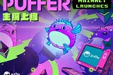 Добро пожаловать в Мейннет Puffer!