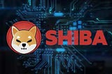 Vitalik Butterin, SHIB and the Indian Crypto Exchanges — How the scam is unfolding