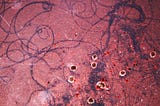 Xenobots — Living Programmable NanoRobots