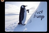 Penguins up in arms about Trump’s Tariffs on Remote Island