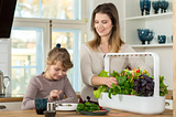 Click & Grow Indoor Herb Garden Kit With Grow Light