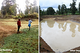 How the Swagrama Project revived 3 lakes in the Western Ghats.