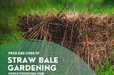 Pros and Cons of Straw Bale Gardening — Honest Pros and Cons