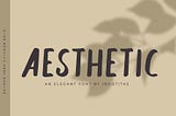 40+ Best Aesthetic Fonts TTF and OTF Download