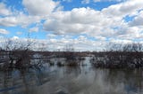 Wow! Camargue — the must be visited place in France!