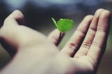 Regenerative Relations: A Recipe For Lasting Resilience