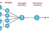 Perceptron Algorithm || Basics to Advanced