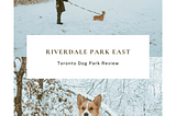 Top: Maria and Limone from SYDE Road heading towards the Off-Leash area of Riverdale Park East Bottom: Limone from SYDE Road sitting on stump at Riverdale Park East's Recreational Trail - Pinterest Pin background