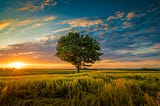 Is Prescribing Outdoor Activities the Future of Mental Health?