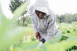 Meet A Farmer: Wandaka Musungira