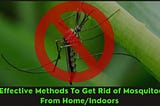 8 Effective Methods To Get Rid of Mosquitoes From Home/Indoors