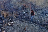 Clear-cutting is Clear-cutting