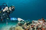 Sustainable Scuba Diving: How to Enjoy the Ocean While Protecting It