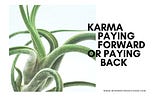 Close up of sprawling tentacles-like green plant with caption: Karma Paying Forward or Paying Back