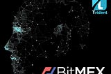 Trident Bitmex Volatility Fund