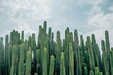 Aerial Cactus Identification Kaggle