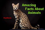 37 Major Facts About Animals That You Must Know