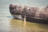 The Cognitive Science behind why “Bachelor Groups” of Sperm Whales are dying together