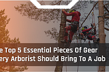 The Top 5 Essential Pieces Of Gear Every Arborist Should Bring To A Job